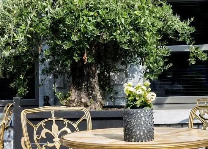 Hotel Le Sanglier Des Ardennes